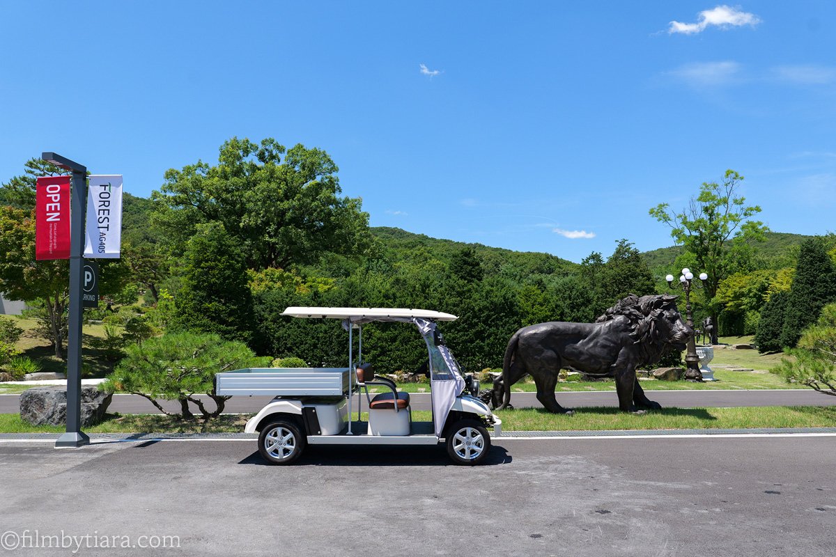 Golf cart used for guided tours at FOREST AG405 arboretum