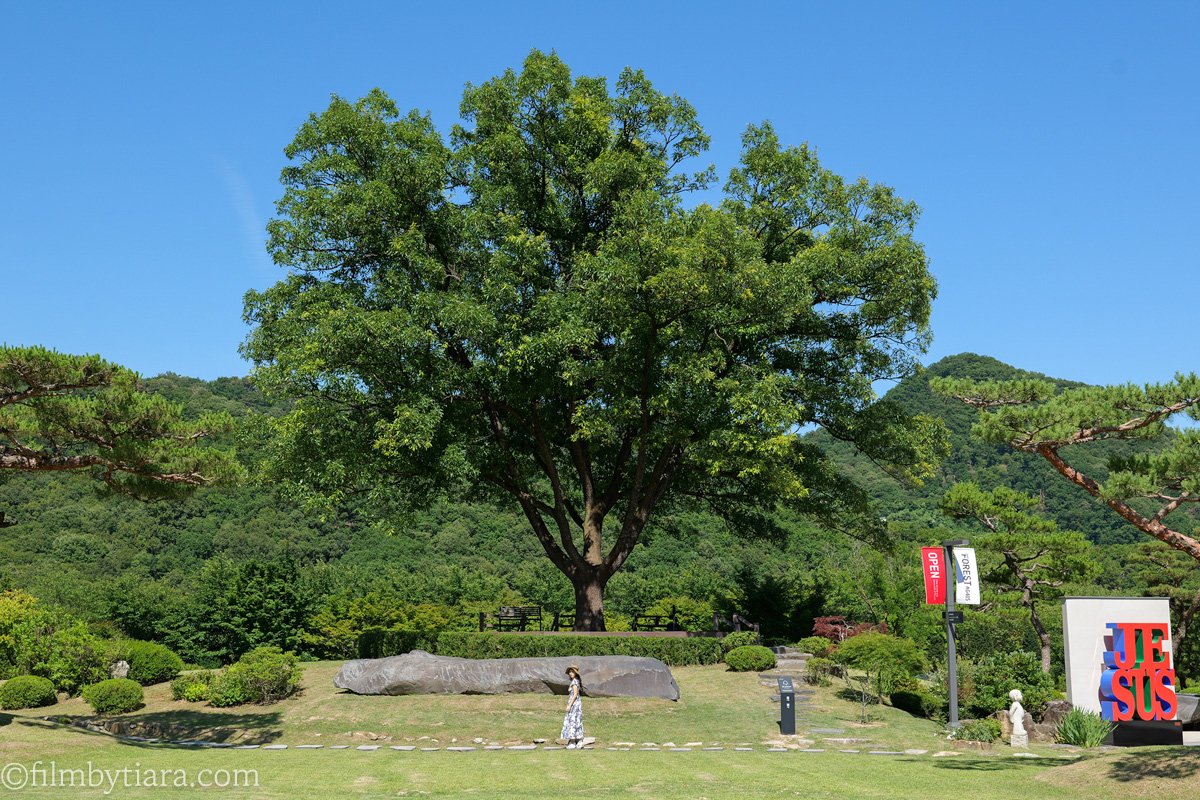 FOREST AG405 in Yeoju: A New Nature Park Near Seoul