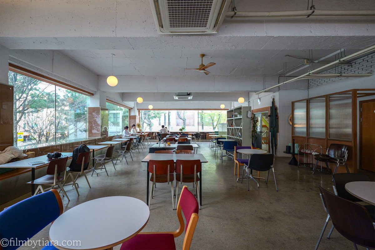 Cafe interior with mismatched chairs, round tables, and a wall of windows overlooking trees