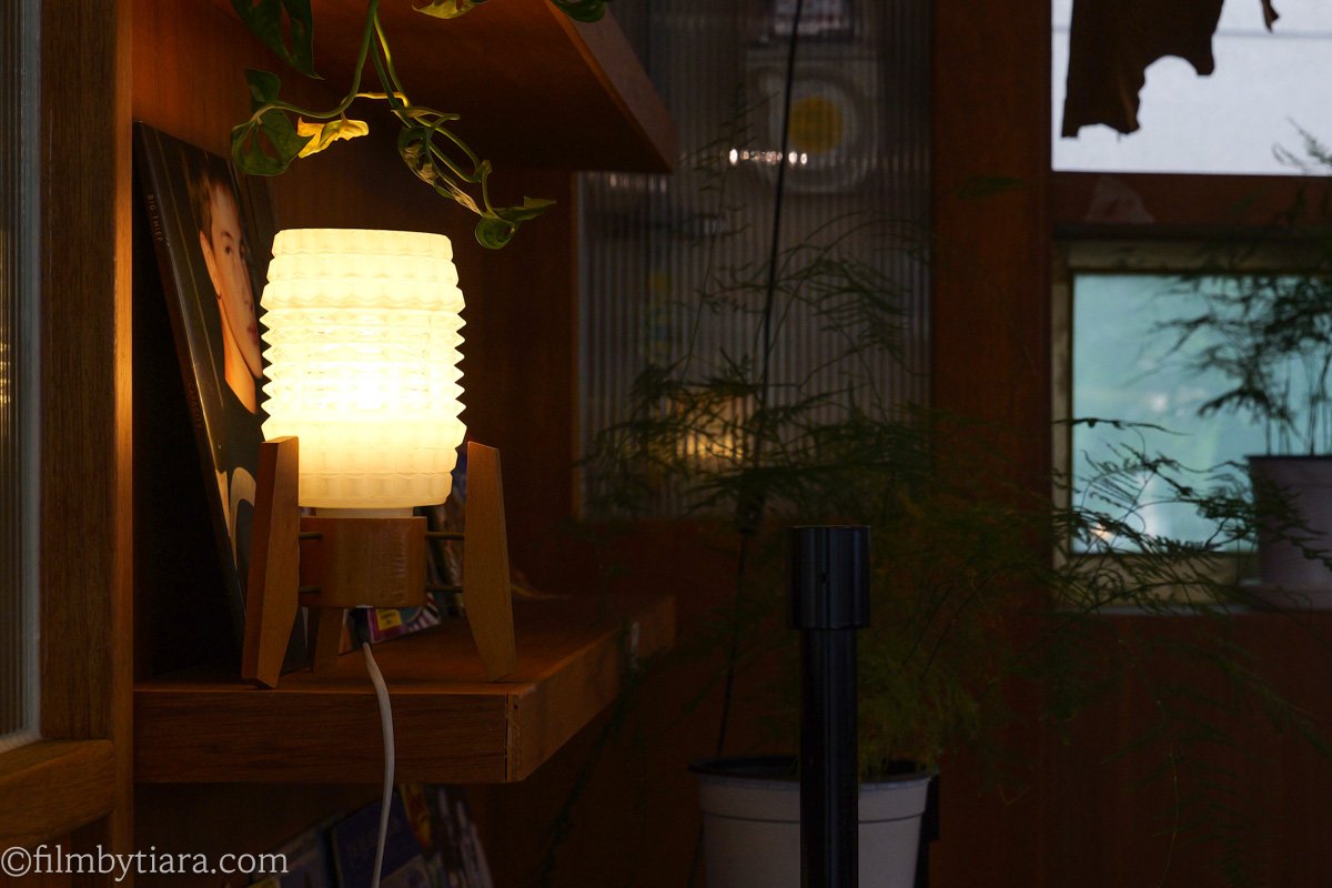 A warm vintage lamp glowing beside plant leaves in the dim evening light at Sleepy Town