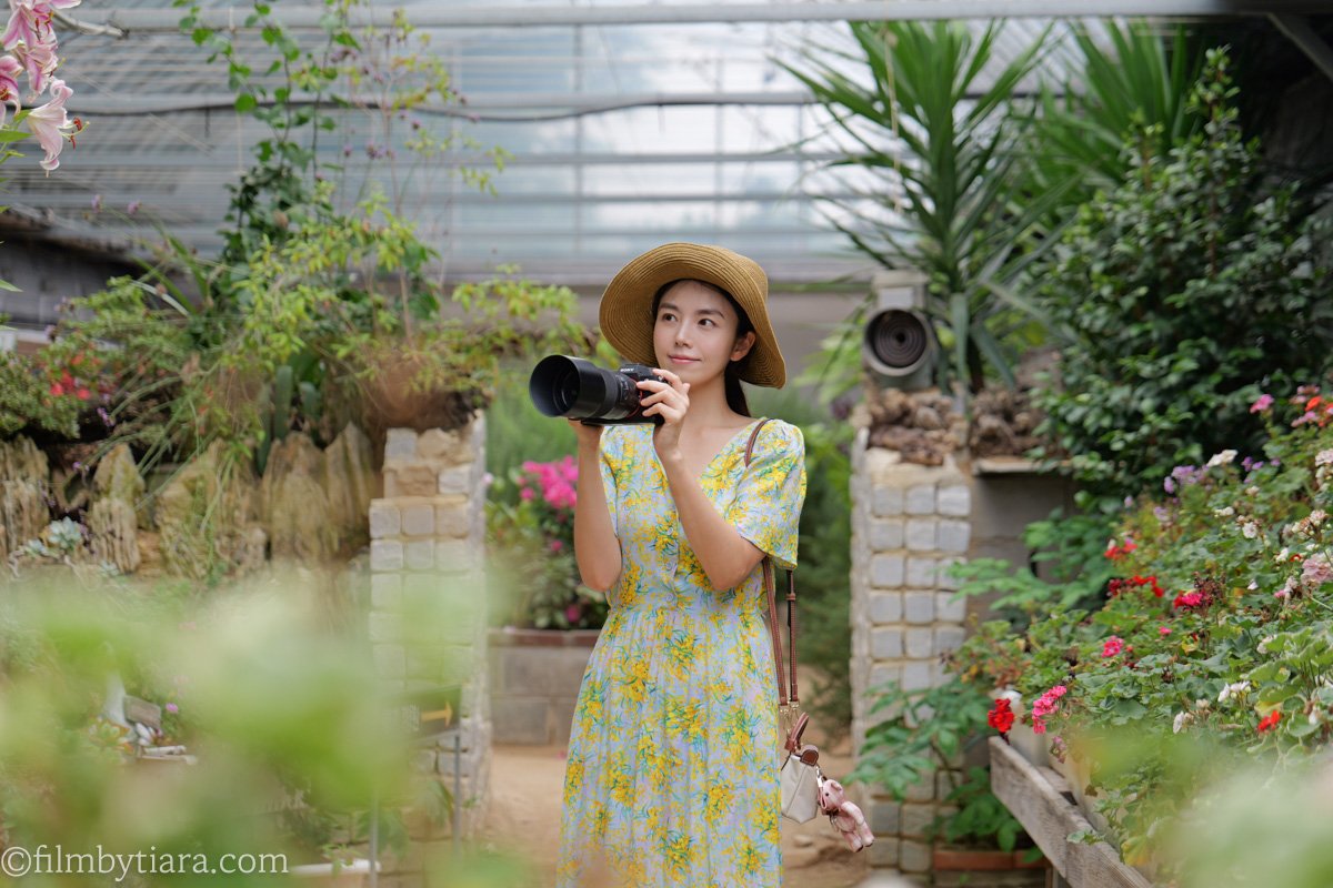 Woman in a sun hat and yellow floral dress capturing a photo with a DSLR camera inside a lush greenhouse botanical garden.