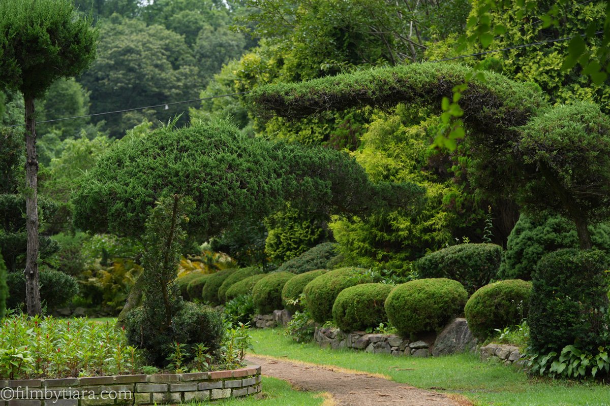 A well-manicured garden path featuring uniquely pruned trees and round topiary bushes, leading towards a dense forest background.