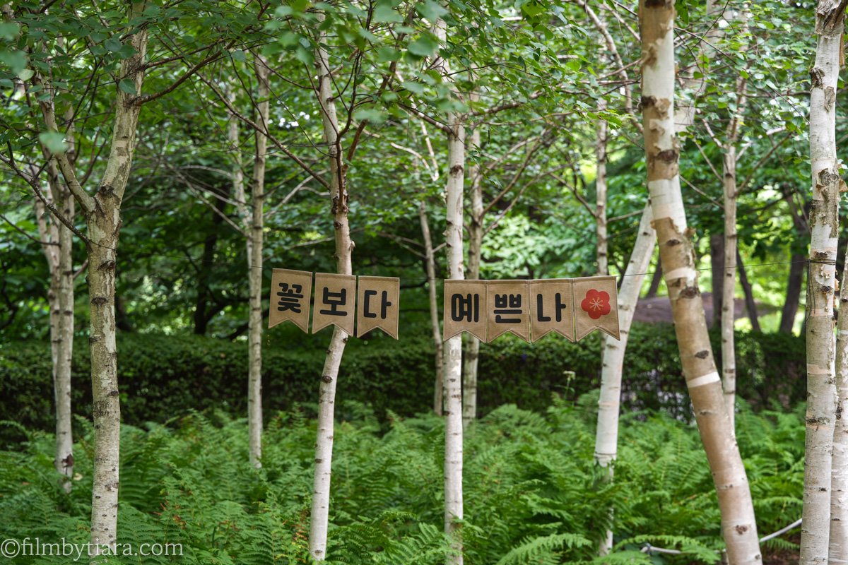 Burlap banner hanging between birch trees reading 'Me, Prettier than Flowers' in Korean, with ferns.