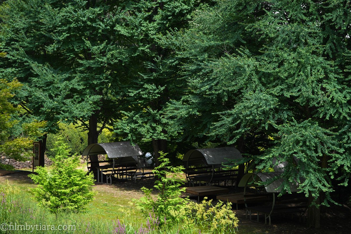 Several shaded picnic tables with curved metal canopies nestled under large green trees, surrounded by lush garden foliage and flowering plants at Yulbom Botanical Garden.