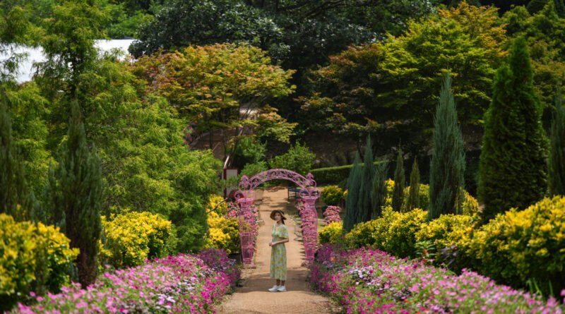 Woman wearing a straw hat standing along a blooming flower path with a pink archway at Yulbom Botanical Garden in Toechon