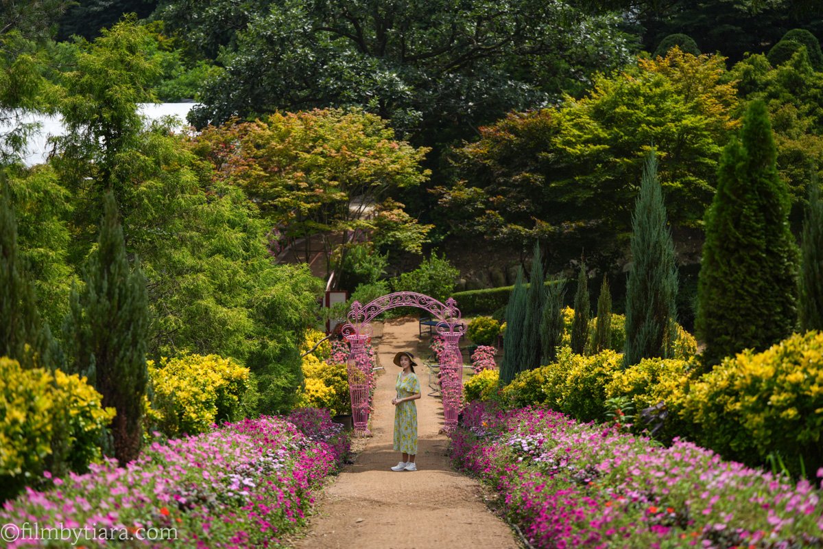 Woman wearing a straw hat standing along a blooming flower path with a pink archway at Yulbom Botanical Garden in Toechon