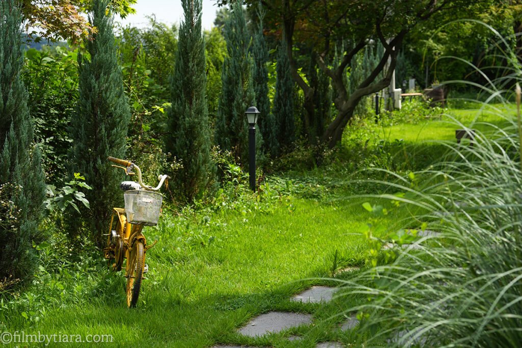 Garden path with a parked bicycle at The Fore cafe grounds