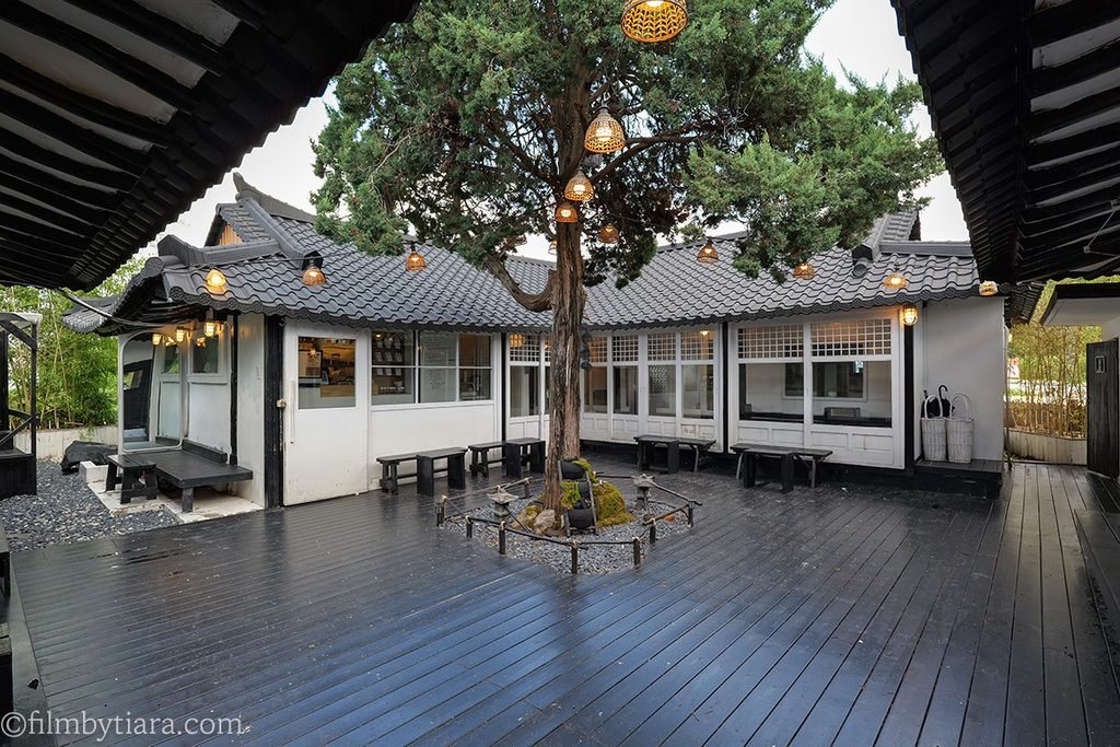 Large courtyard tree with hanging rattan lanterns at Gomae Coffee Yongin hanok cafe