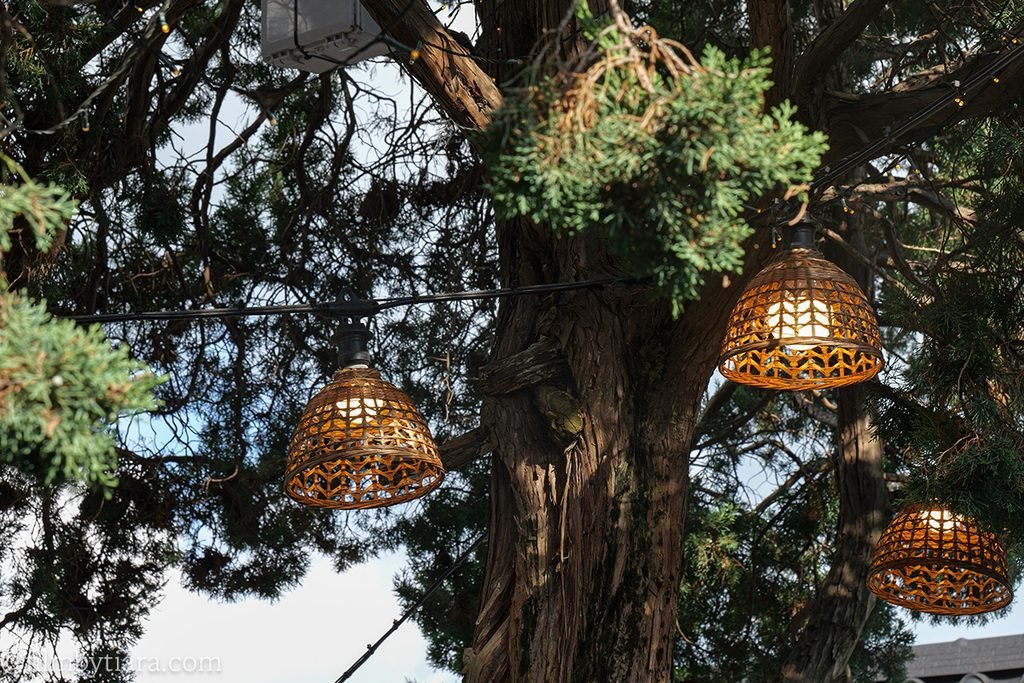 Rattan lantern lights hanging in courtyard tree at Gomae Coffee